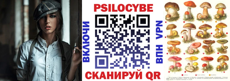 Псилоцибиновые грибы Cubensis  где купить наркотик  Тырныауз 